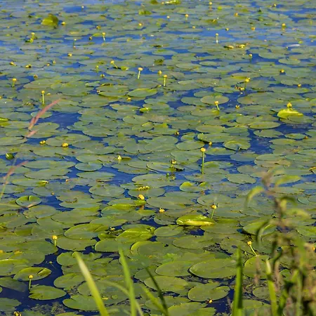 Modern By The With Parking & Sauna In By Renters Apartment Zegrze